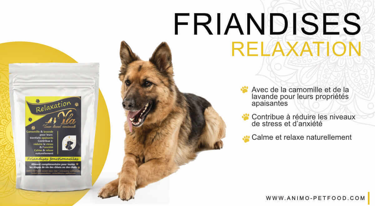 friandises-apaisantes-pour-chien